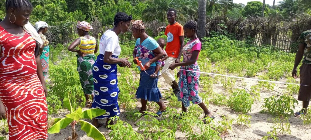 Field Experiment—A Practical Solution
