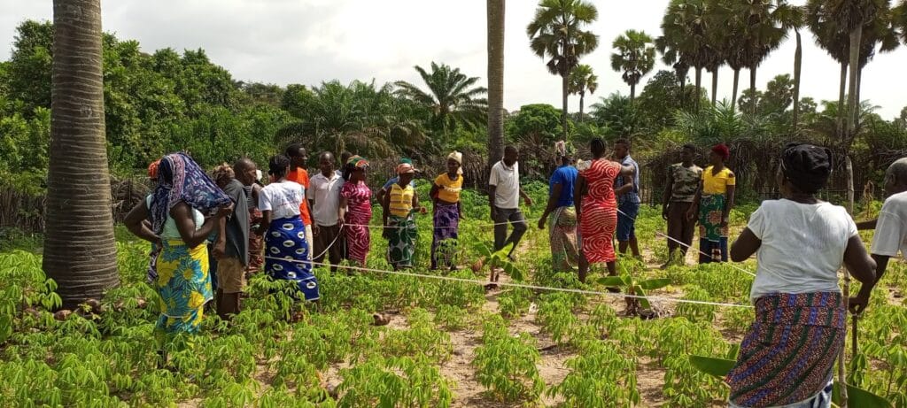 Economic Empowerment