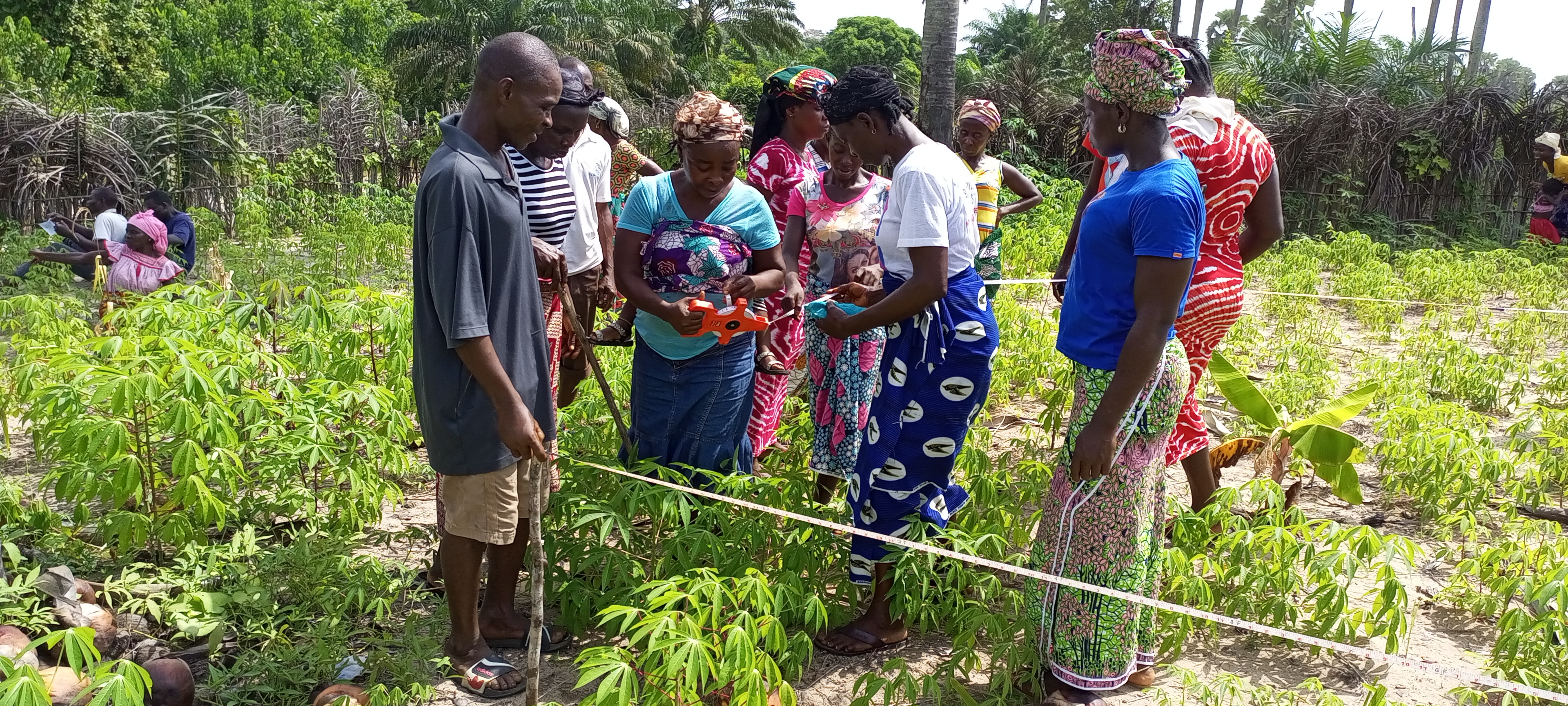 Food Security and Sustainable Agriculture