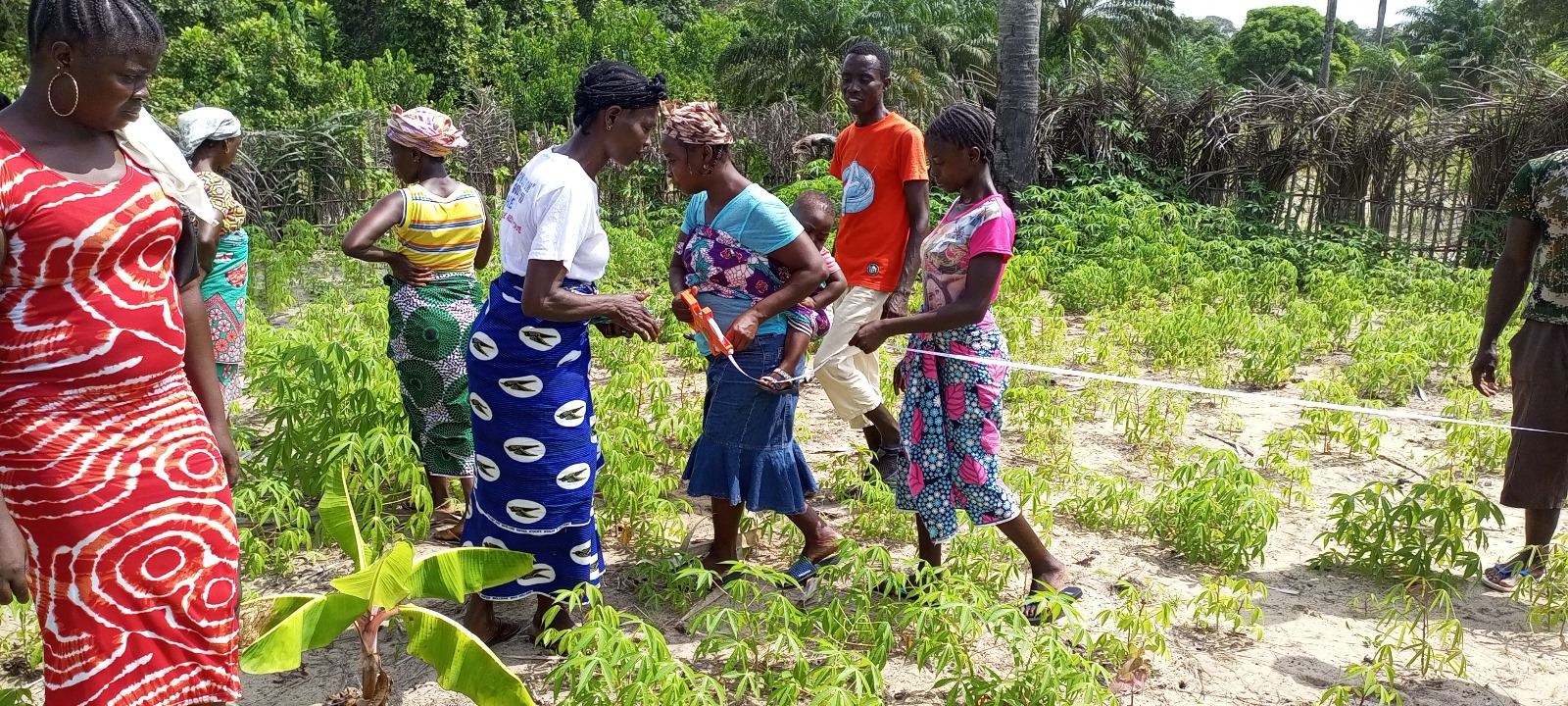 Community-driven initiatives